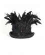 Devil Fashion Black Retro Gothic Feather Embellished Top Hat for Men